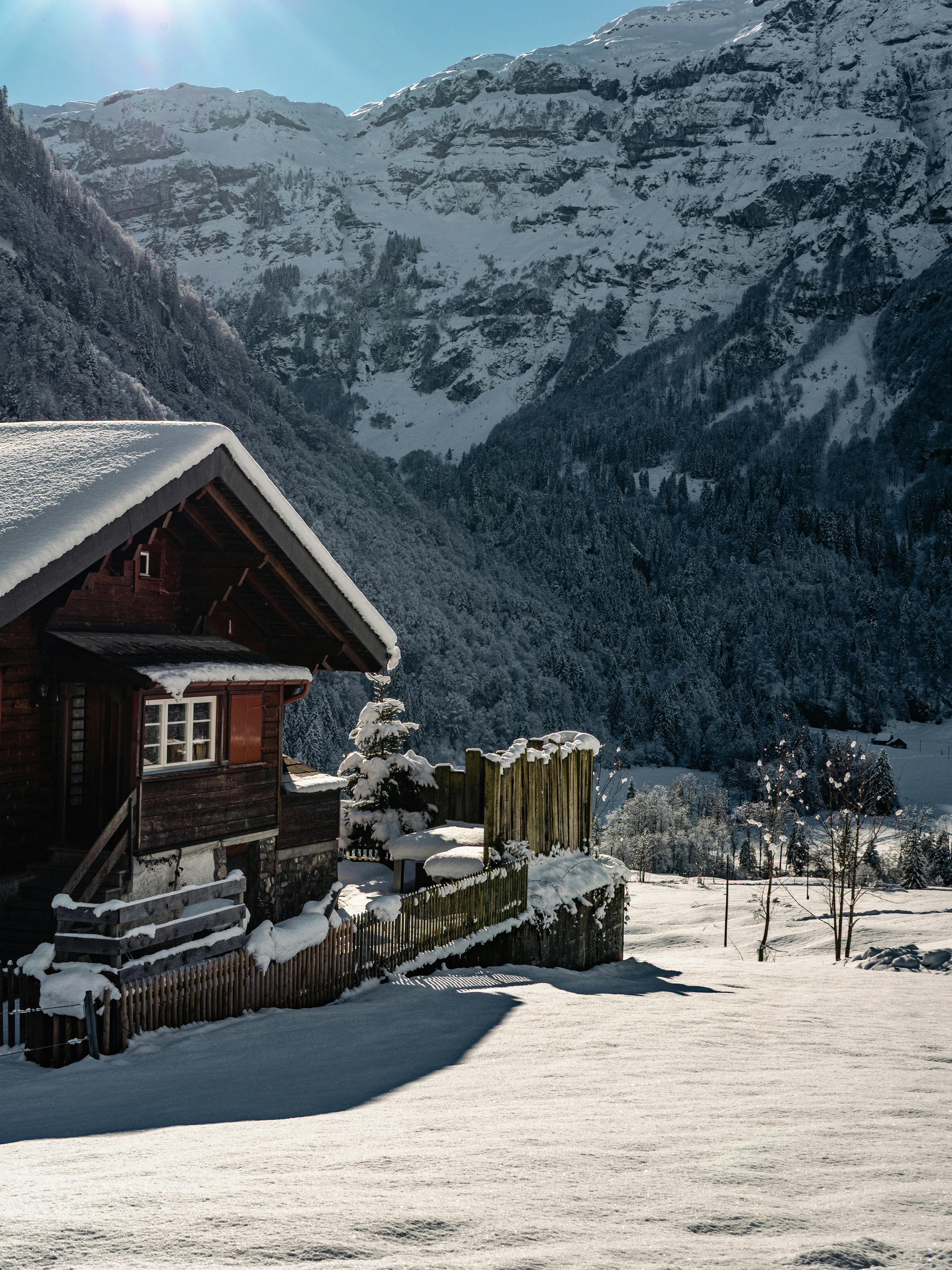 Alpine Chalet